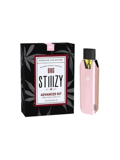 STIIIZY BIIIG Vaporizer Advanced Kit - Rose