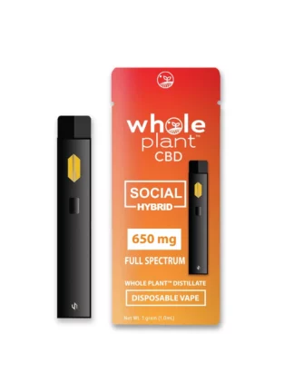Whole Plant CBD Social Hybrid Disposable Vape Pen
