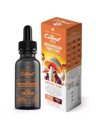 Salmon Cutleaf Pet Mushroom CBD Tinctures
