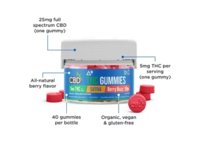 Berry Buzz Sativa CBDfx D9 THC + CBD Gummies 1000mg 1
