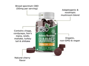 CBDfx Apple Cider Vinegar Gummies 1500mg