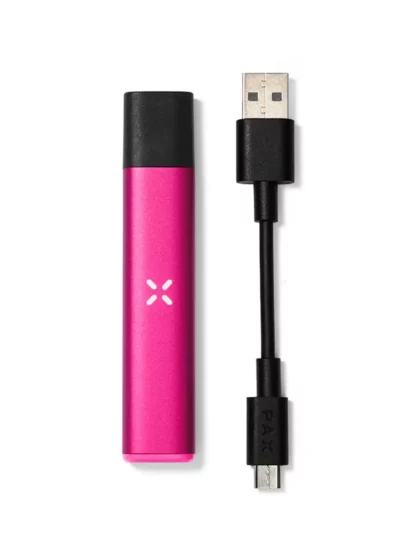 Pax Era Oil Vape Pen
