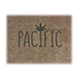 Pacific Glass