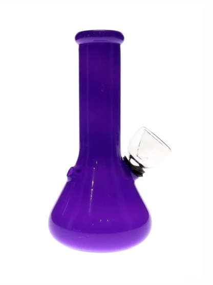5 Colorful Mini Beaker Bong purple