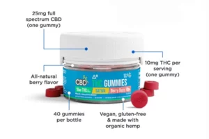 Berry Buzz CBDfx D9 THC + CBD Gummies 1200mg D