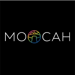 Moocah Magic