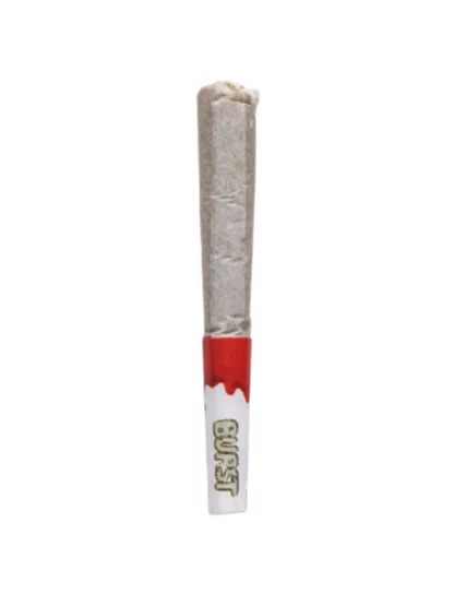 Packs Mini Hash Rosin Burst THC-A Pre Rolls 2.5G