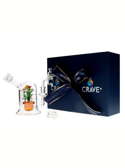 Crave+ Mini Swirl Water Pipe Gift Set Amber