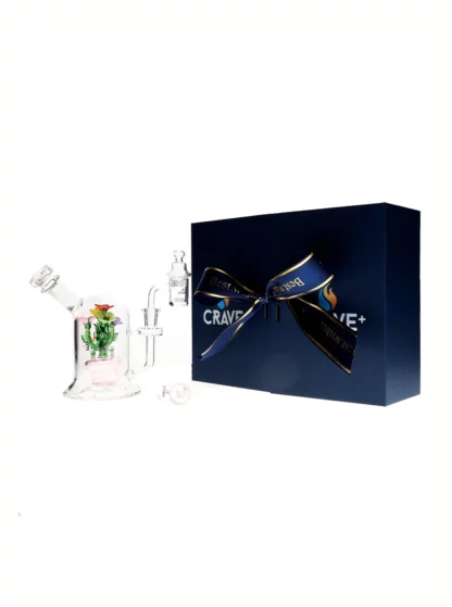 Crave+ Mini Swirl Water Pipe Gift Set PInk