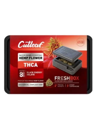 Black Cherry Gelato Cutleaf THCA Flower 8g + FreshBox