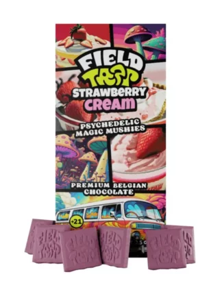Strawberry Cream Field Trip Psychedelic Magic Mushies Premium Belgian Chocolate
