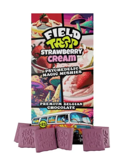 Strawberry Cream Field Trip Psychedelic Magic Mushies Premium Belgian Chocolate