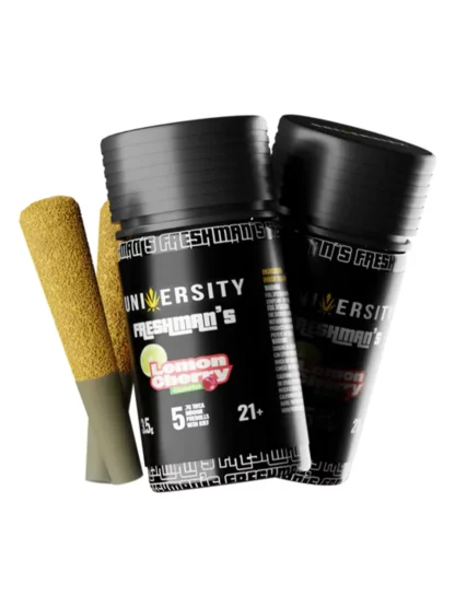 Lemon Cherry Gelato University Freshman's THCA Indoor Prerolls with Kief 3.5gLemon Cherry Gelato University Freshman's THCA Indoor Prerolls with Kief 3.5g