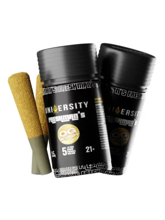 OG Kush University Freshman's THCA Indoor Prerolls with Kief 3.5g