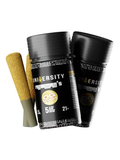 OG Kush University Freshman's THCA Indoor Prerolls with Kief 3.5g