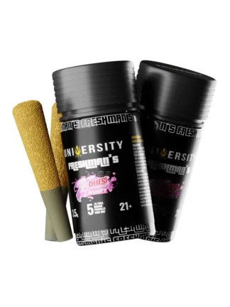 Pink Zaburst Runtz University Freshman's THCA Indoor Prerolls with Kief 3.5g