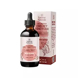 CBD Tinctures