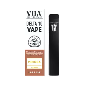 Delta 10 Disposable Vapes